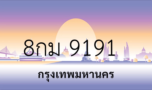 8กม 9191